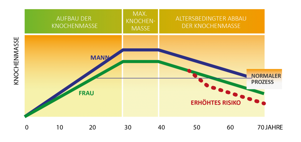 Knochenabbau